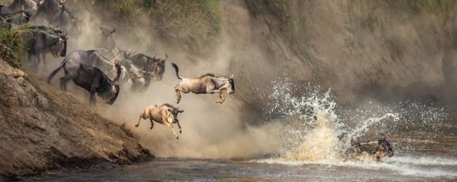 9-Day Great Migration Safari - From Kenya to Tanzania safari tour