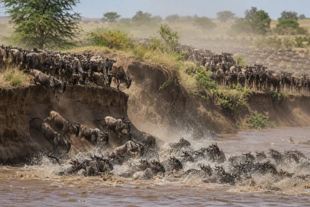 5-Day Great Wildebeest Migration Safari safari tour