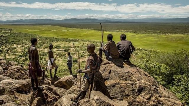 4-Day Highlands & Hot Springs Safari Circuit safari tour