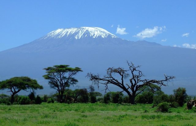 3-Day Amboseli Wildife Safari safari tour