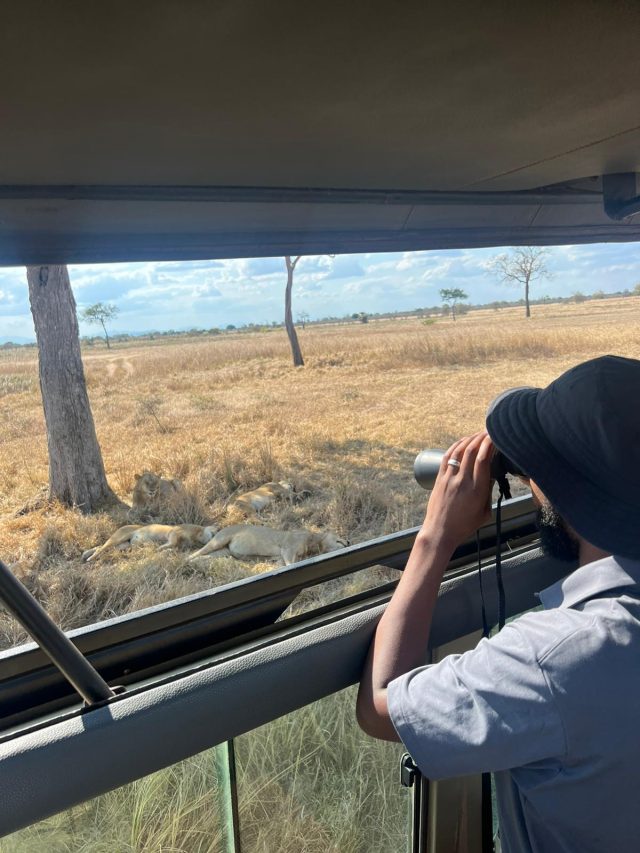 1-Day Safari from Zanzibar to Mikumi National Park safari tour