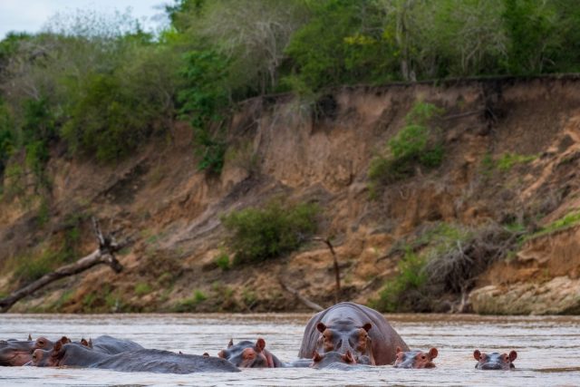 3-Day Nyerere National Park Shared Safari from Dar Es Salaam safari tour