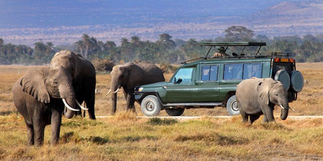 4-Day Masai Mara & Lake Nakuru National Park Wildlife Safari