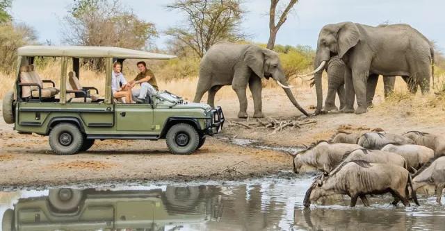 1-Day Mikumi Wonderful Safari By SGR Train & Open Jeep safari tour