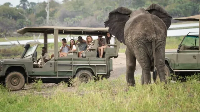 2-Day Zanzibar to Mikumi N.P Luxury Safari By Open Jeep safari tour