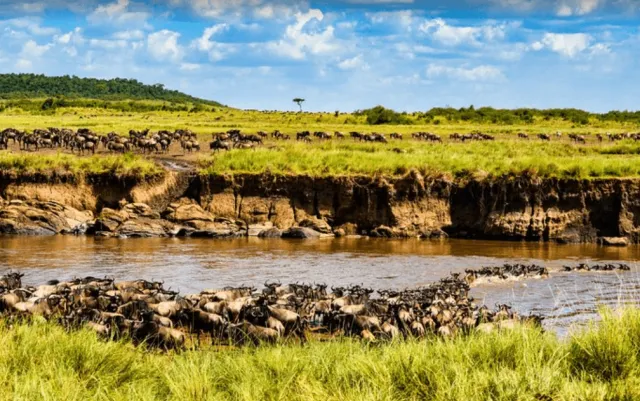 5-Day Serengeti Wildlife Safari & Hot Air Balloon Experience safari tour