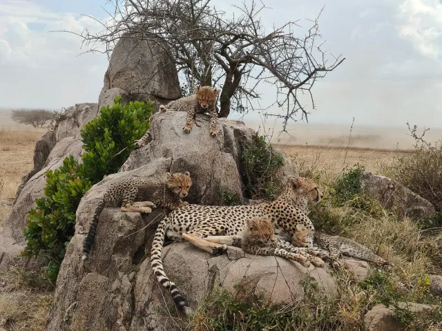 4-Day The Essential Tanzania Adventure safari tour