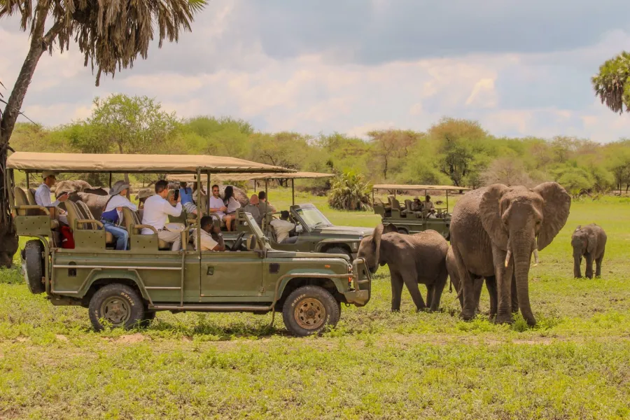 2-Day Classic Selous Safari Tour