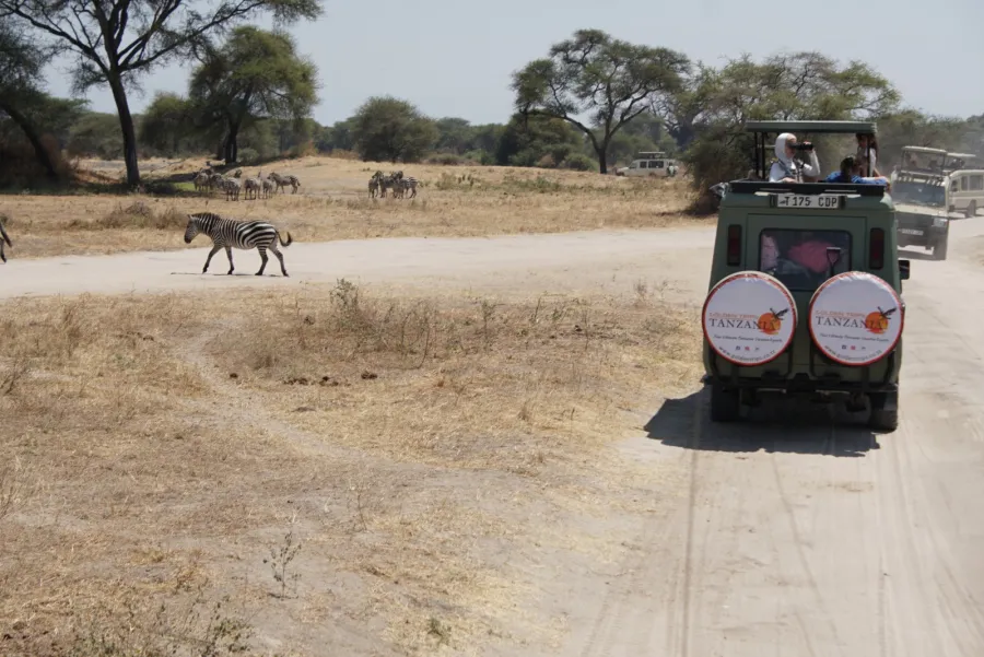 3-Day Nature & Cultural Mikumi Group Safari