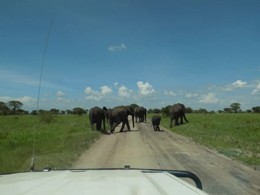 3-Day Beautiful Days Safari
