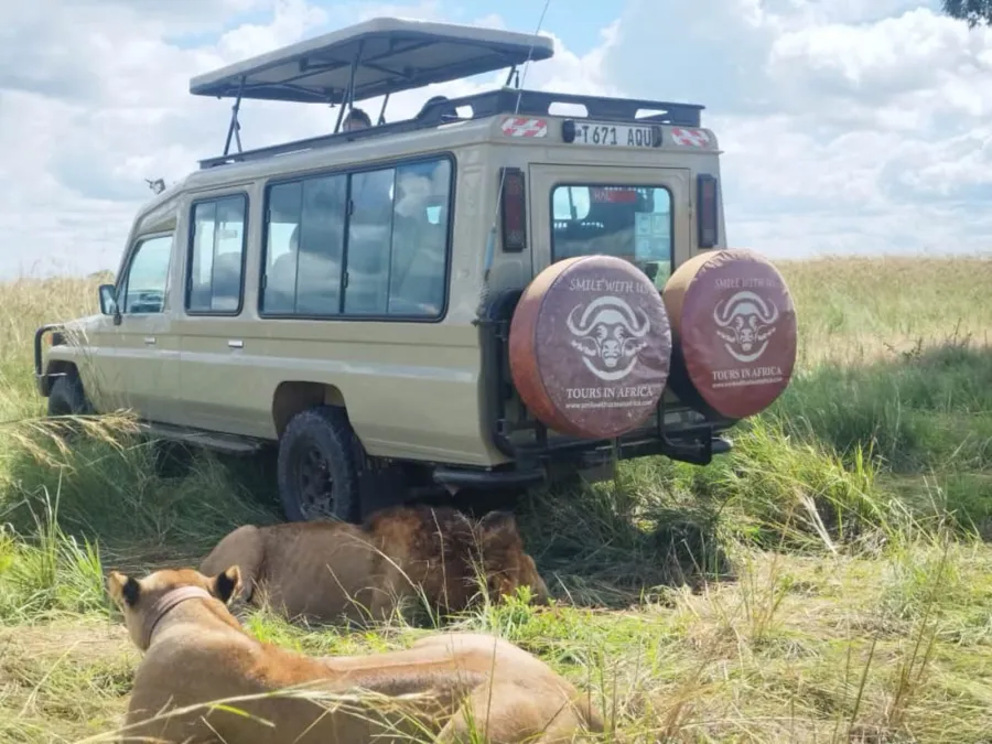 4-Day Exclusive Pleasure Of The Great Serengeti