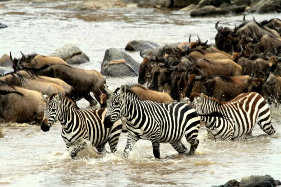 4-Day Amazing Tarangire Np, Serengeti Np +Ngorongoro Crater