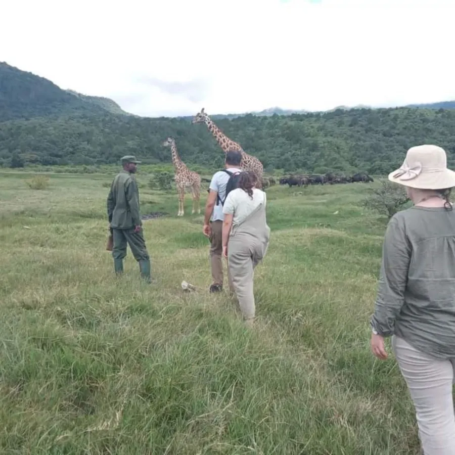 1-Day Arusha National Park