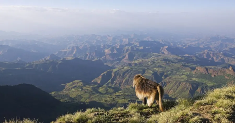 3-Day Simien Mountain Trekking Tours