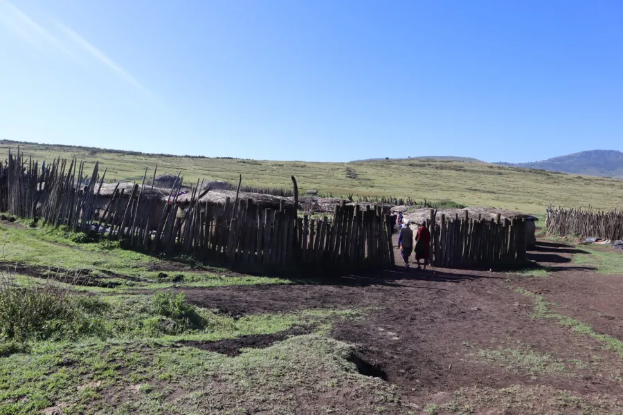 2-Day Tarangire & Ngorongoro Crater Safari