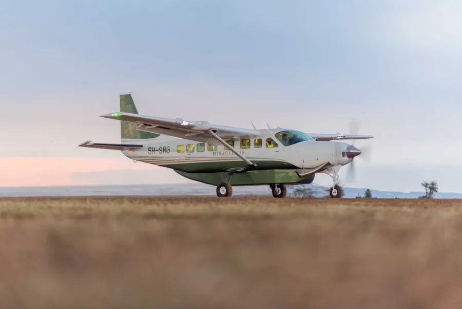 1-Day Selous Day Trip Safari From Zanzibar