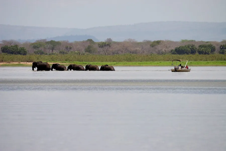 9-Day Southern Circuit Safari and Zanzibar Beach Experience