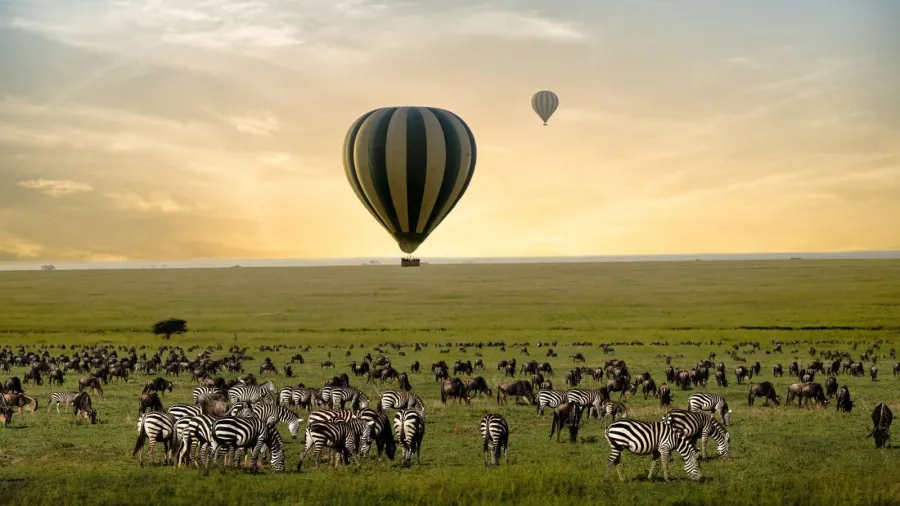 4-Day Serengeti Balloon & Ngorongoro from Zanzibar