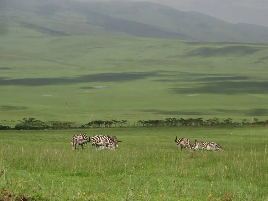 3-Day Serengeti and Ngorongoro Safari