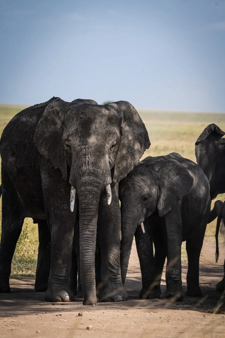 2-Day Tarangire & Ngorongoro Ctrater Two Days Safari