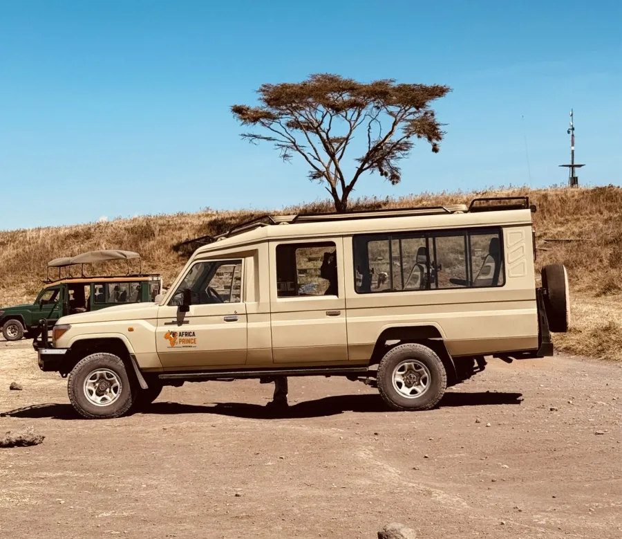 2-Day Safari Short Experience Tarangire & Ngorongoro Crater