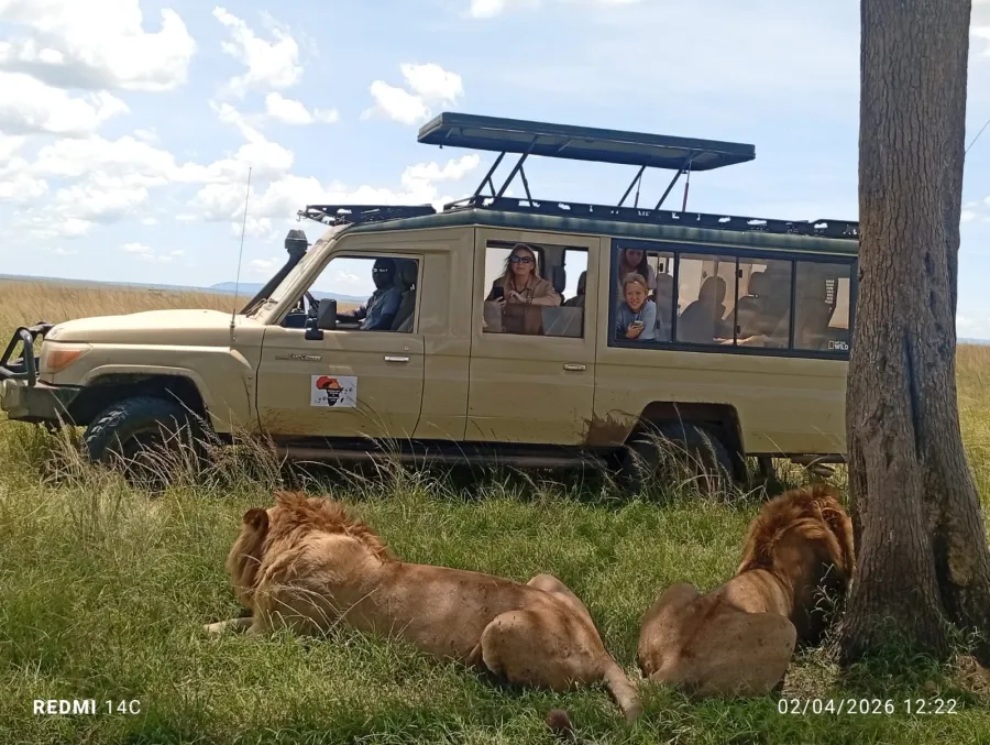 3-Day Masai Mara Flying Inn Safrari