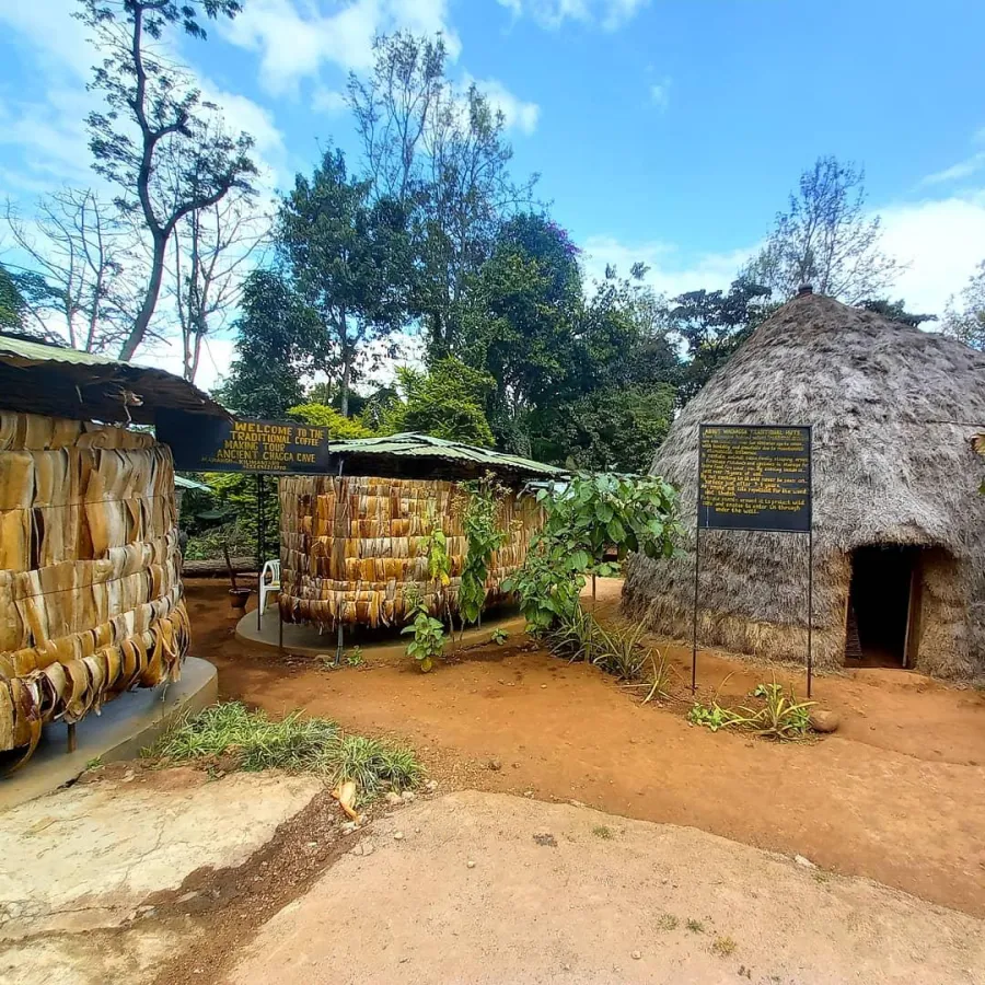 1-Day Marangu Village Hike & Cultural Tour
