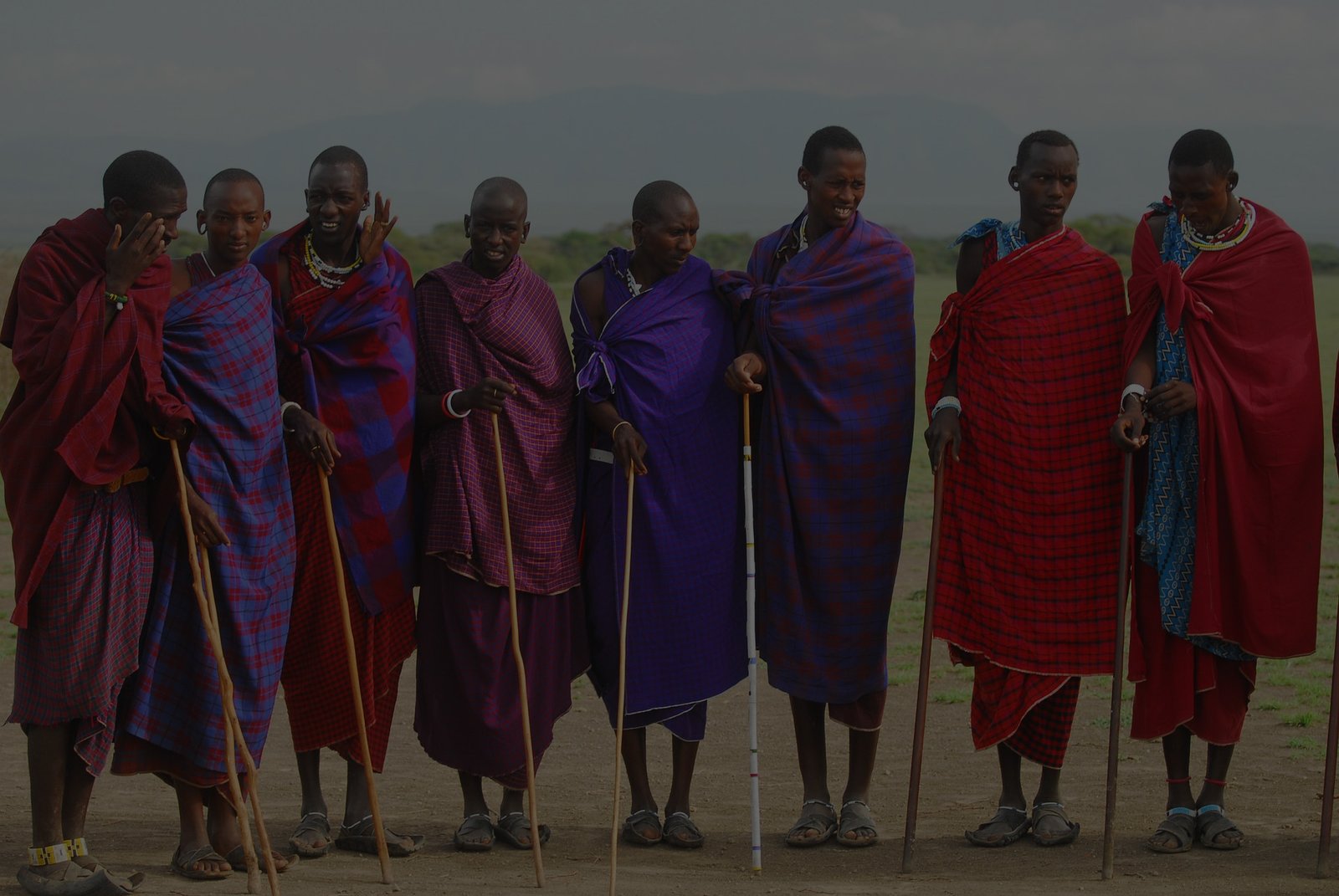 Safari Vendors