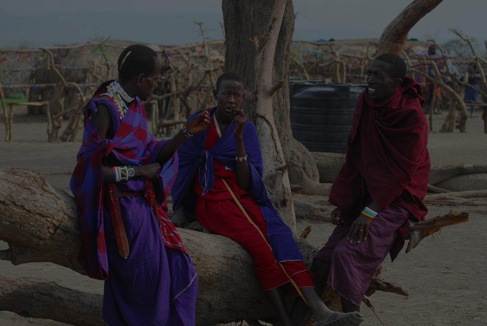 Safari Vendors