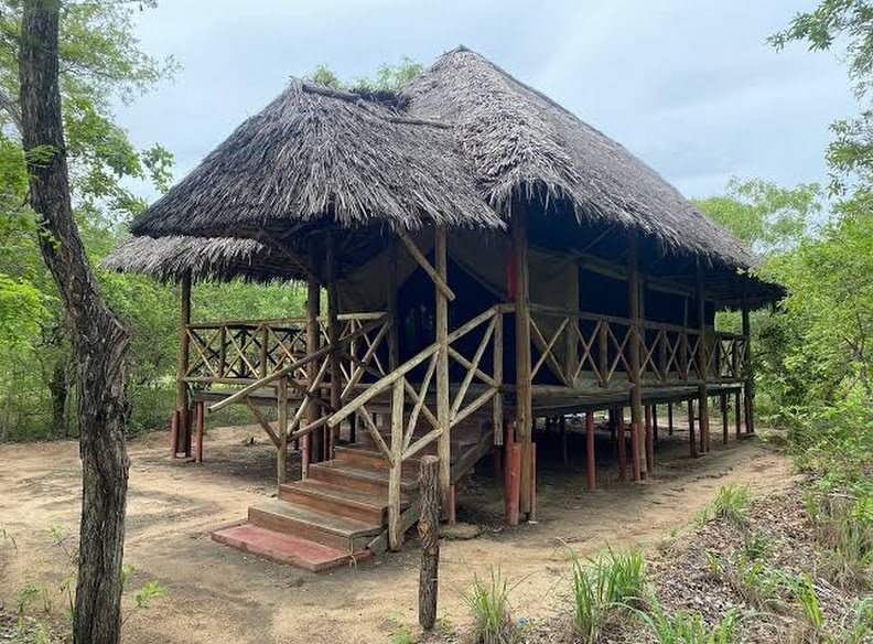 Nyerere Tented Camp