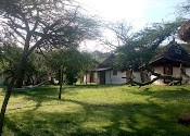 Bishangari Lodge
