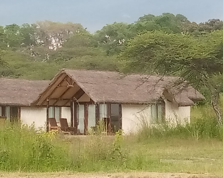 Bishangari Lodge