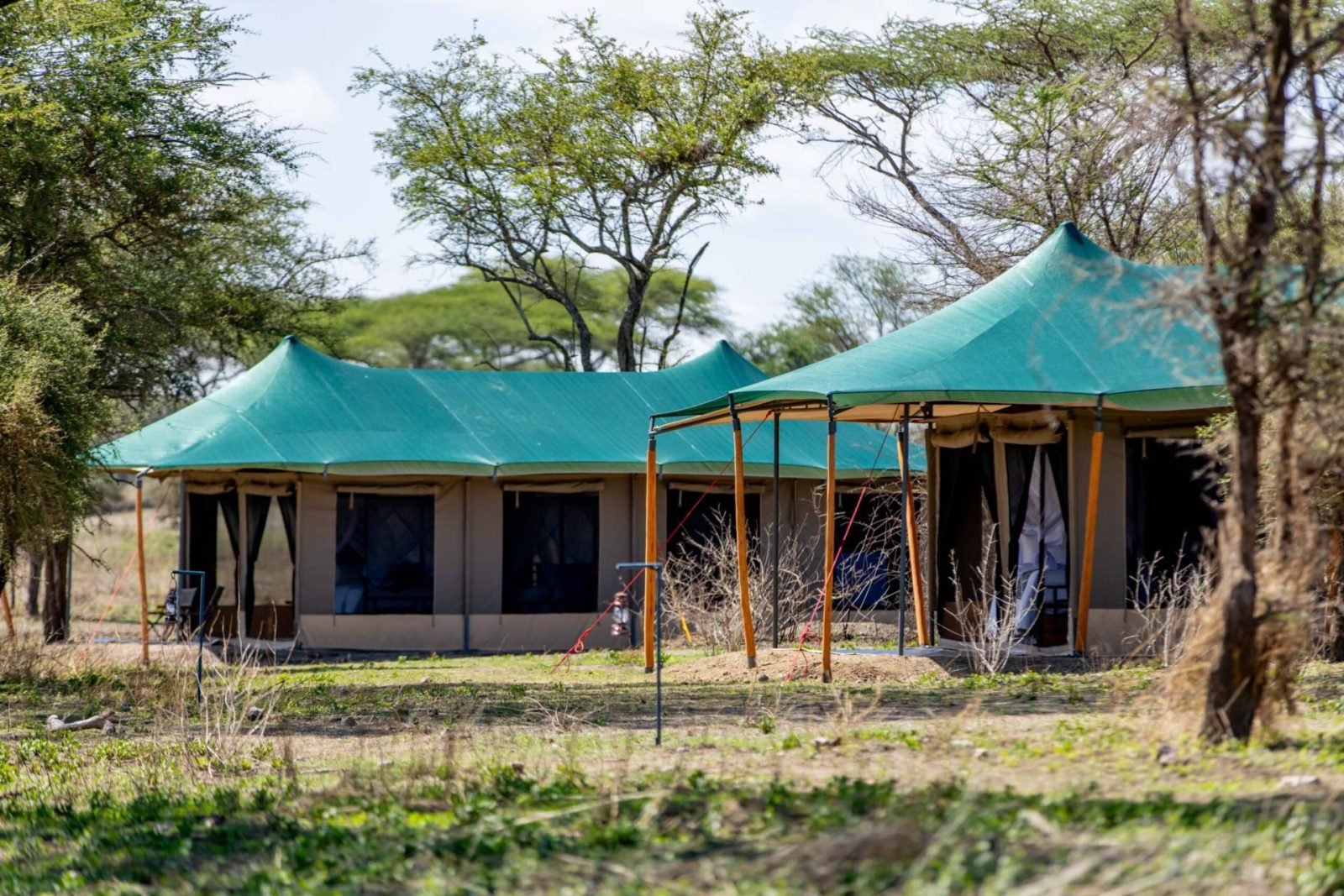 Serengeti Classic View Migration Camp - Kogatende