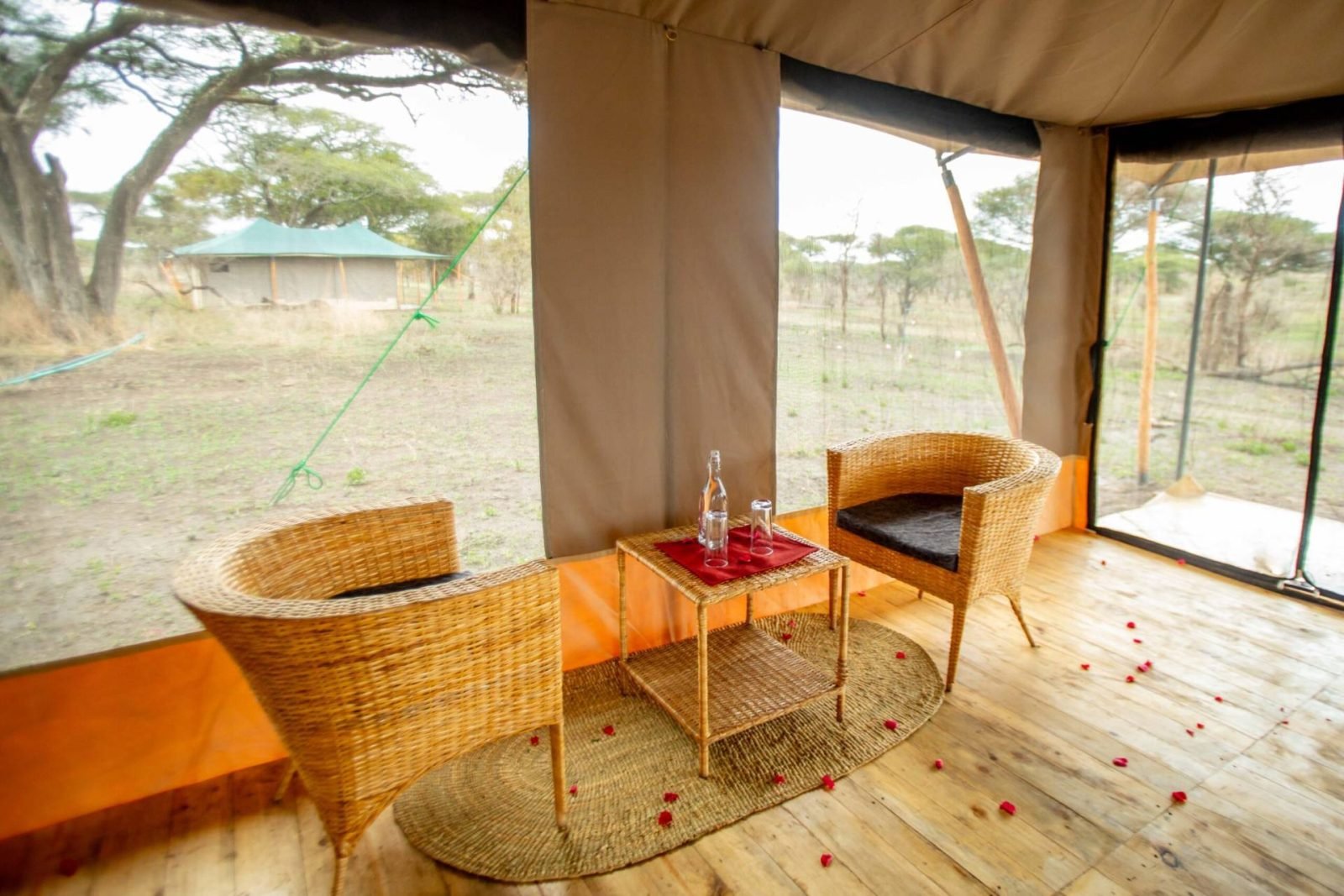 Serengeti Classic View Migration Camp - Kogatende