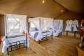 Serengeti Classic View Migration Camp - Kogatende