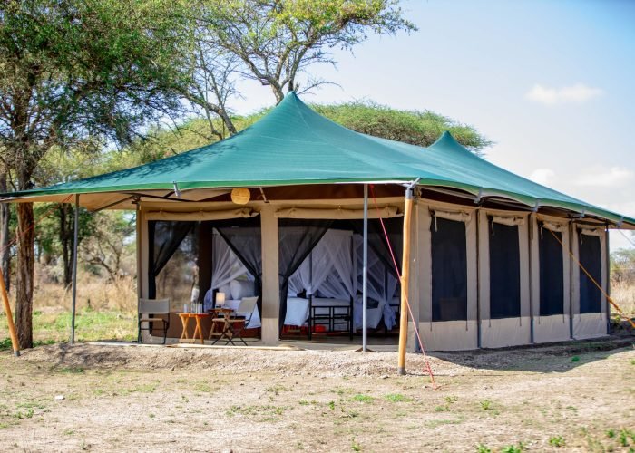 Serengeti Classic View Migration Camp - Kogatende