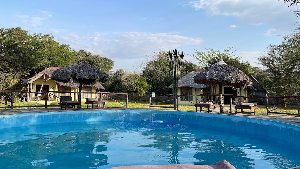 Africa Safari Selous