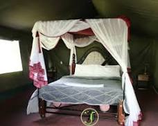 Lencharda Tourist Camp