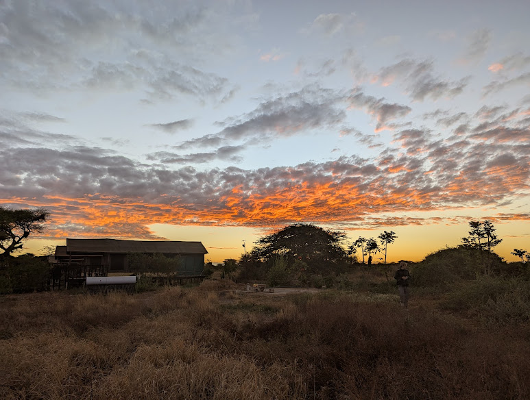 Nyati Safari Camp