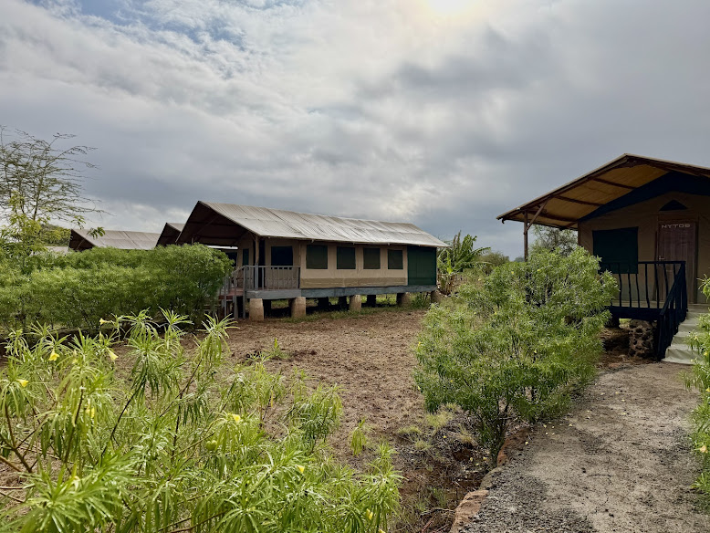 Nyati Safari Camp