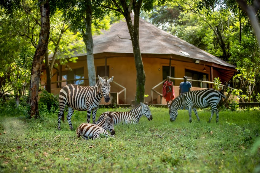 Masai Mara Sopa Lodge