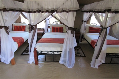 Enchoro Wildlife Camp