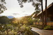 Ingagi Park View Lodge