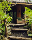 Ingagi Park View Lodge