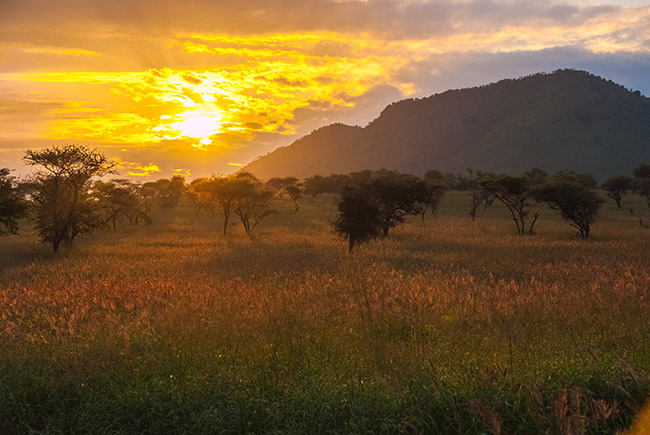 Suenos De Africa Luxury Camp