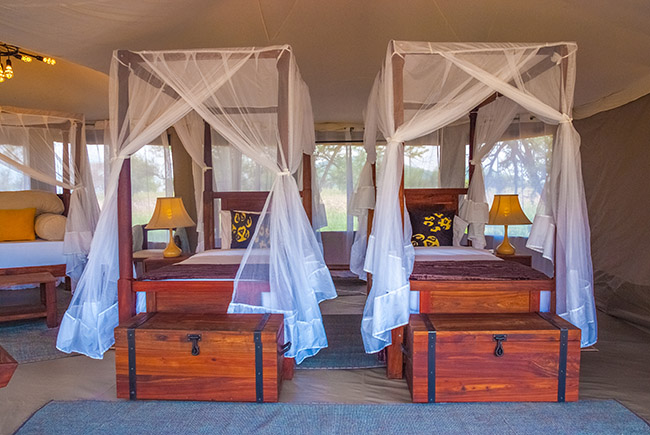Suenos De Africa Luxury Camp