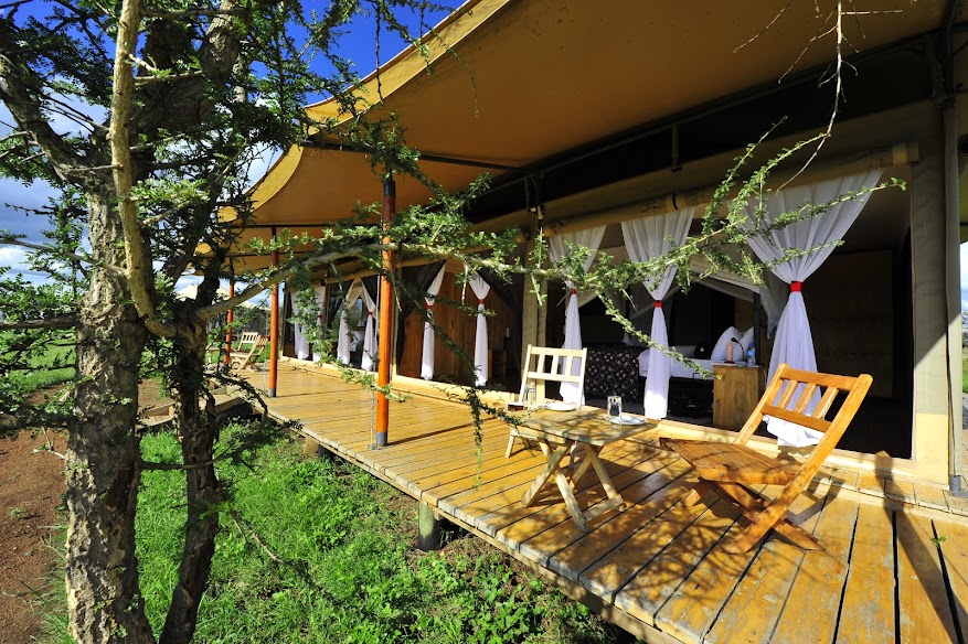 Glimpse Of Africa Tented Camp