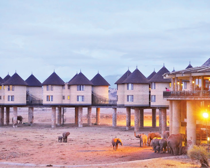 Salt Lick Safari Lodge