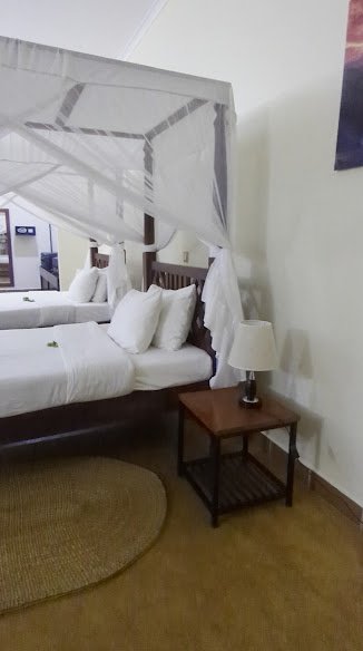 Eileen Trees Inn