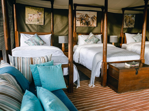 Ang'ata Migration Ndutu Camp
